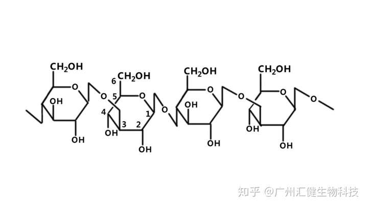 免疫活性多糖新食品原料酵母β葡聚糖