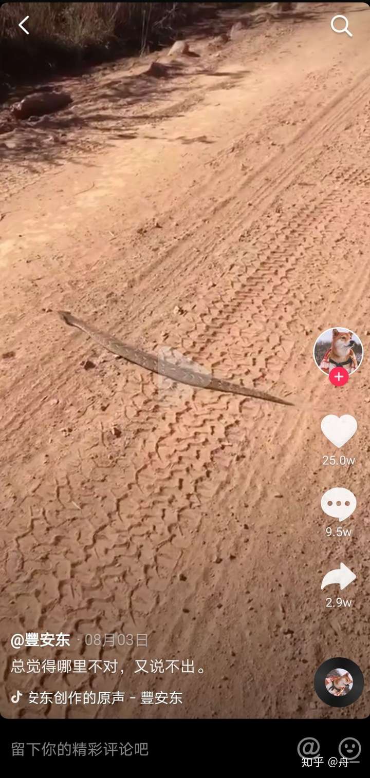 哈哈哈昨天晚上无意间刷到一个抖音视频,一个男的住院,说是被菜花蛇咬