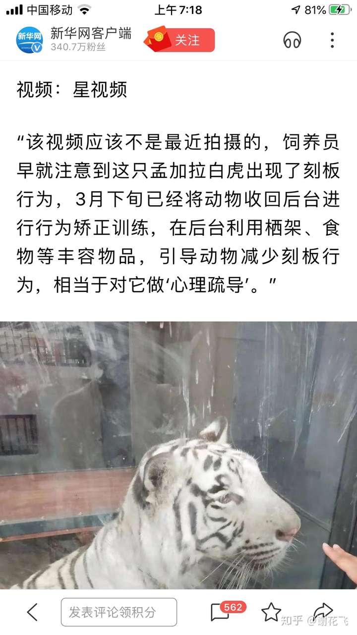 这的确是动物的刻板行为.