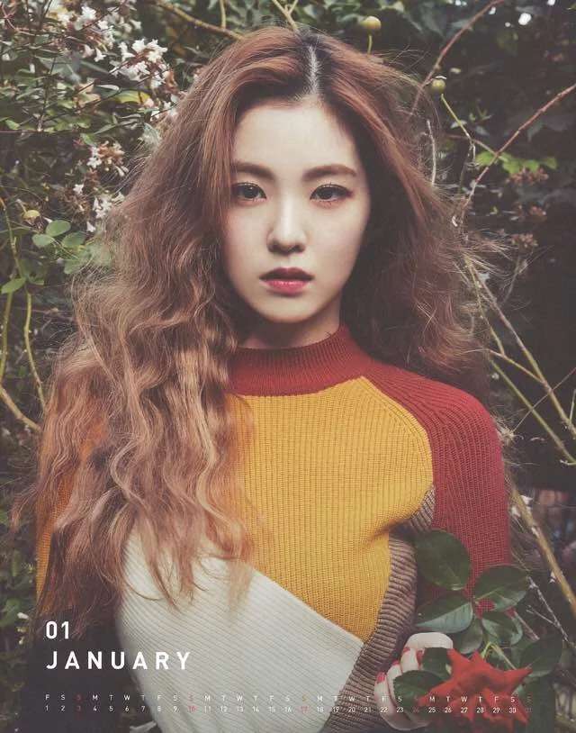 如何区别blackpink金智秀jisoo和red velvet裴珠泫irene的脸?