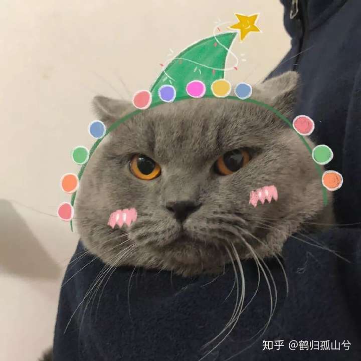 有那种憨憨的情侣头像吗?