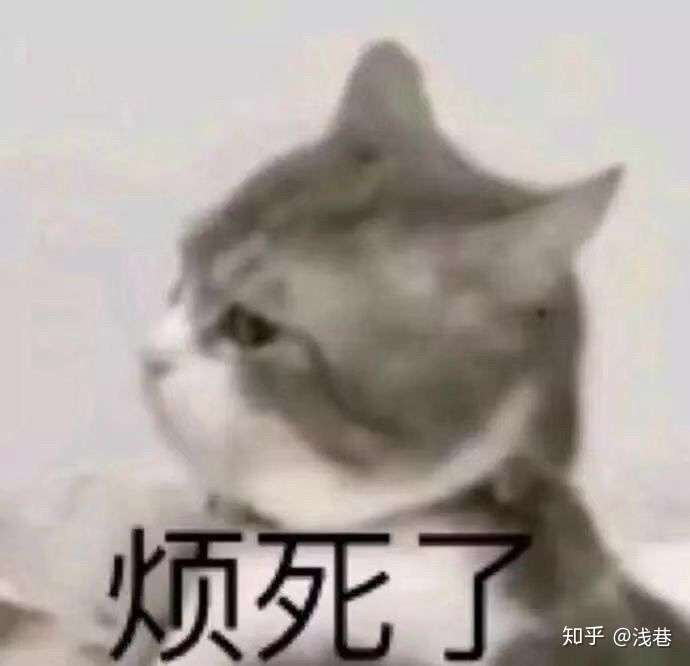 有哪些克制我来了接住的表情包?