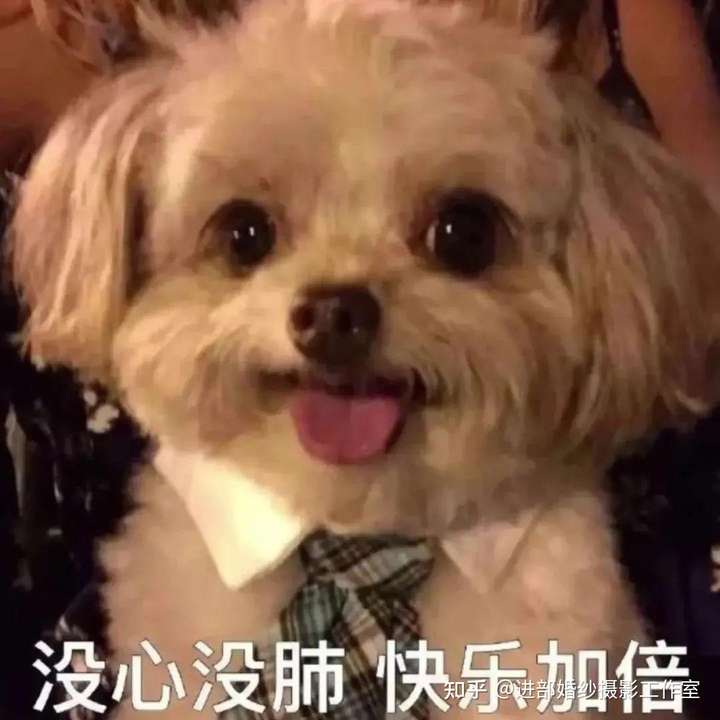 有哪些非常虐单身狗的照片?