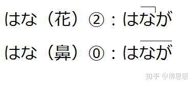 日语的声调到底有没有规律