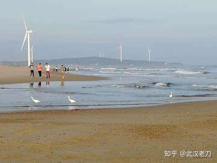 老刀：我国有哪些美丽、安全、无海腥味的海滩？