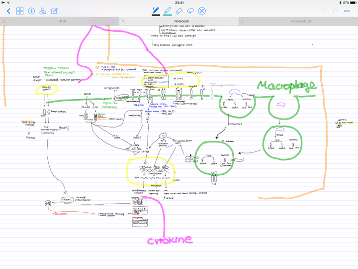 goodnotes, noteshelf, notes plus, nobe, upad,墨笔,onen