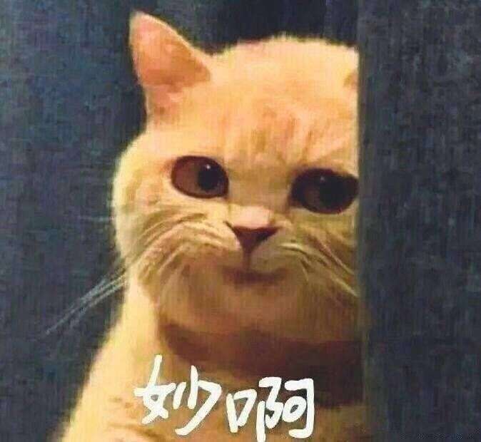 梦想是做个环游世界出游记的网红,或者是做一个抖音的网红,再不济,也