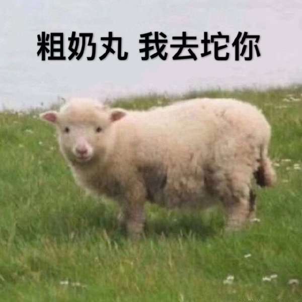 医生给我开了药丸,我掉到了地上一直响,仔细一看,原来是好响出去丸.