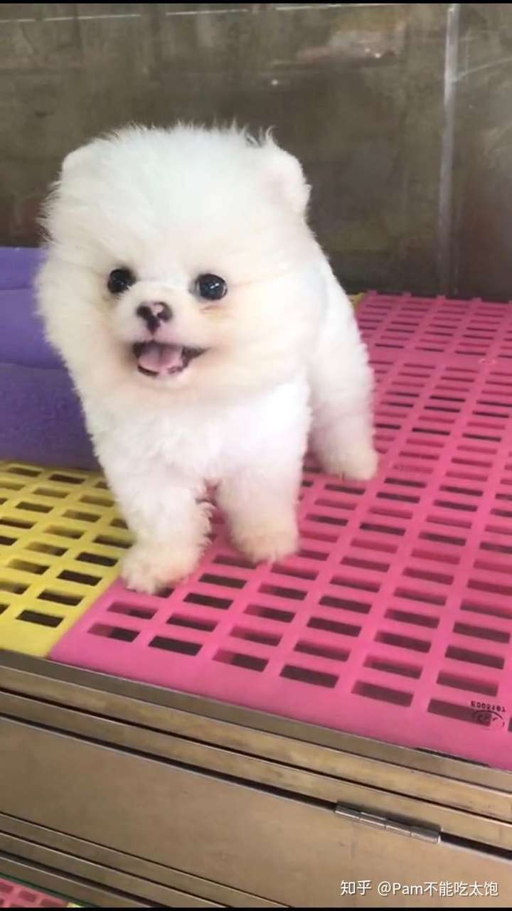 知乎