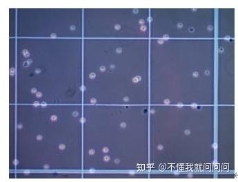 血细胞计数板手动细胞计数设备默克millicell03 一次性血细胞计数