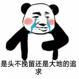 5,每当看到随风飘散的蒲公英,就忍不住摸摸自己的脑袋