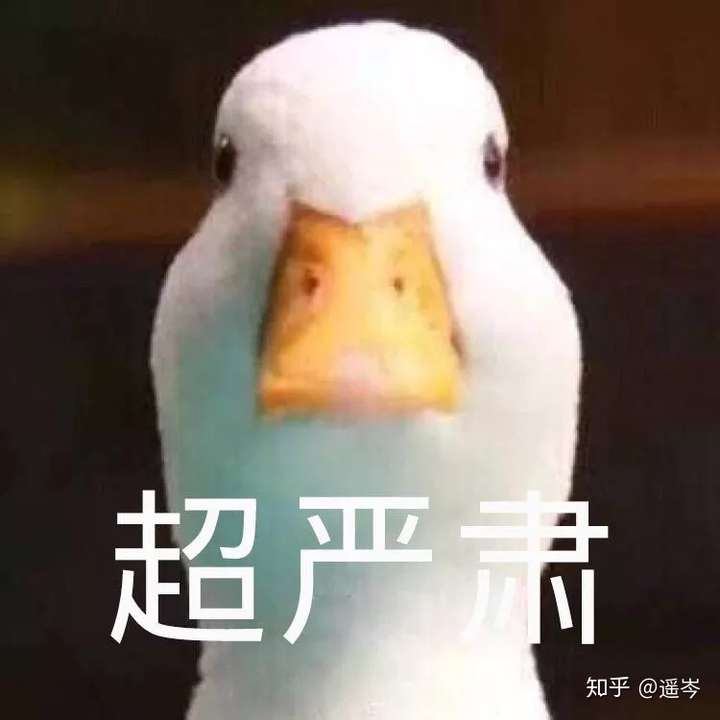 不引战,各持己见!做理智粉