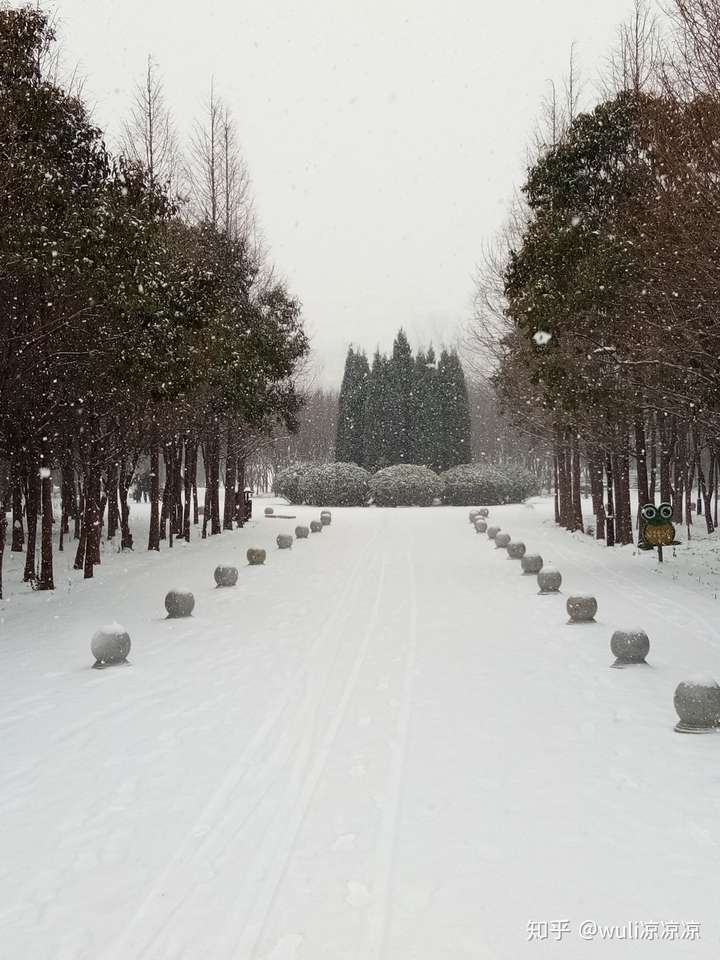 可否分享下雪的照片呢?