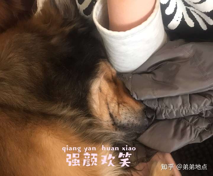 走在路上,旁边距离两米多处有狗用力吠叫,如果狗有狂犬病,狗吠时将