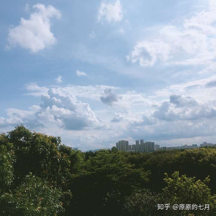 你能贴上一张阳光明媚的天气的照片吗?