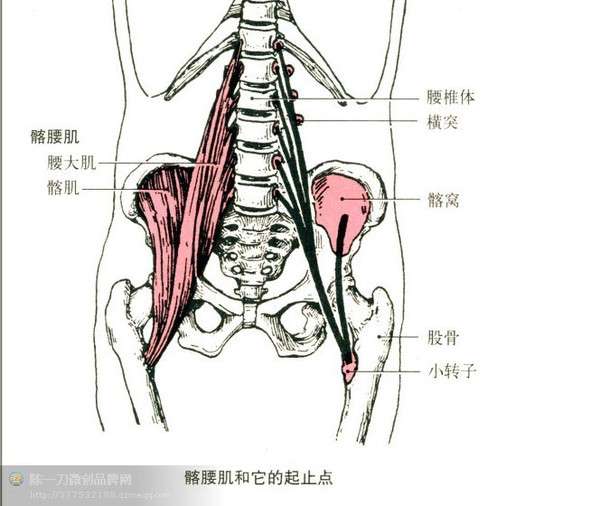 硬拉腰部受伤如何恢复,如何防止再次受伤?