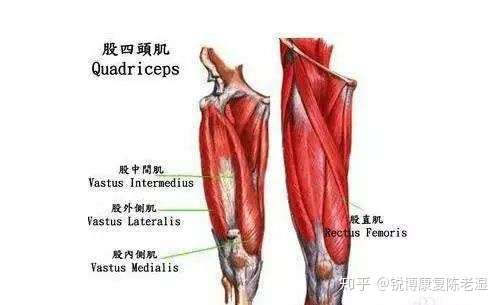 髌腱炎可以治好吗