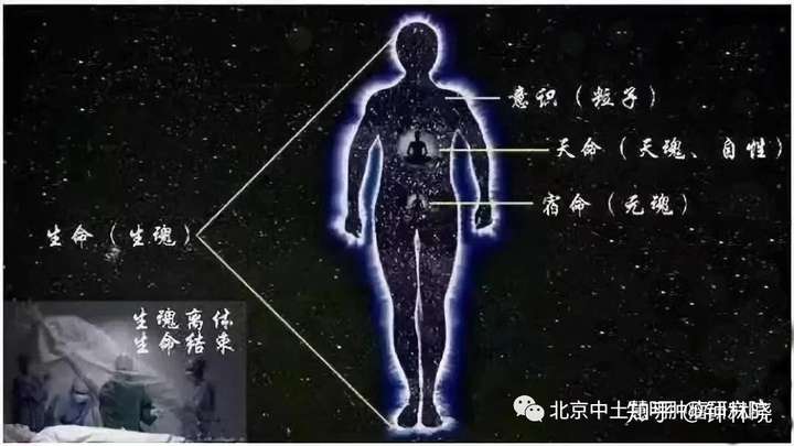 钟林晓 1人 赞同了该文章 10-20通性 人体讲三魂七魄,七魄为精负责