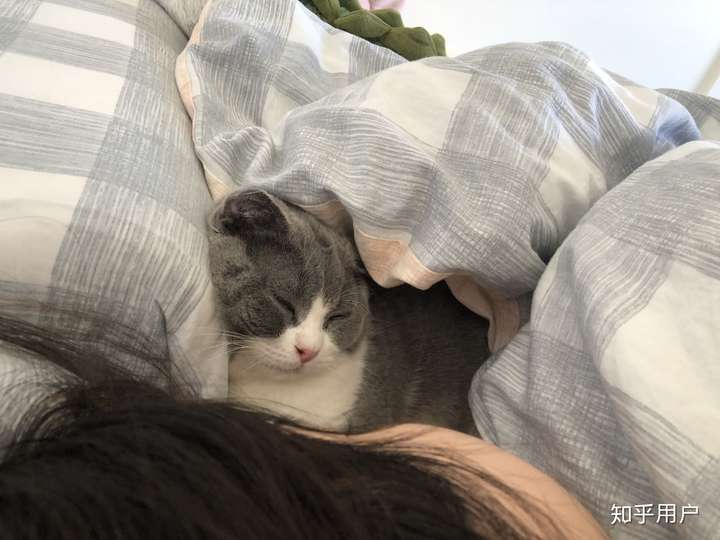 和男朋友养猫真的会失宠吗,说说你们的亲身经历?