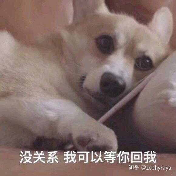 公开表明自己是舔狗的意思.