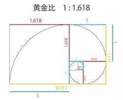 黄金分割广泛被应用的依据和本质是什么?