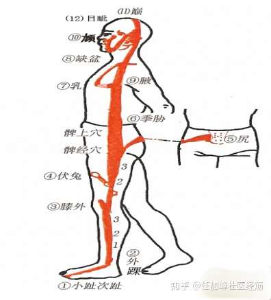 连载黄帝内经灵枢经筋第十三足少阳之筋