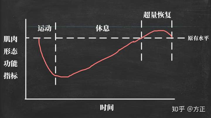 出自《运动训练学:人体机能水平变化的曲线图