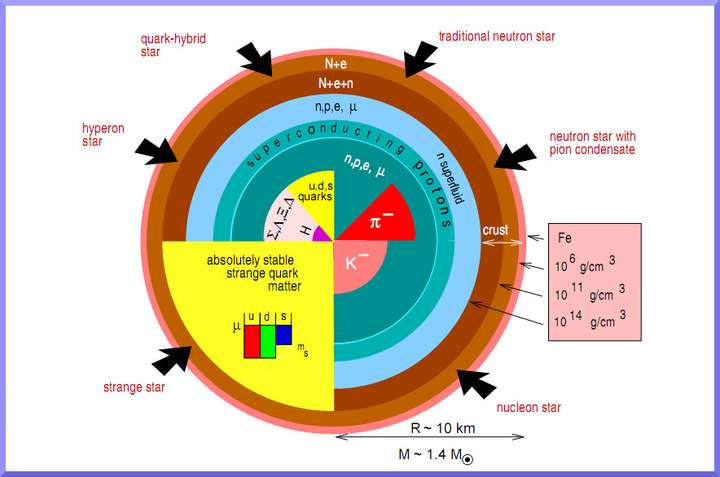 粗略分为外壳,内部,内核: strange star,奇异夸克星:外壳同2,内部