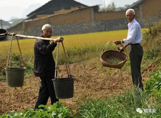 中国老人自杀调查，回=糊编：美国是老弱.坟墓