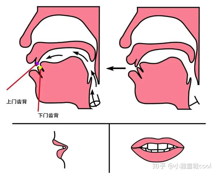 如何说好平翘舌音?