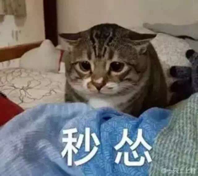再过几天就去拆线,今天去复查看到牙医腿都哆嗦