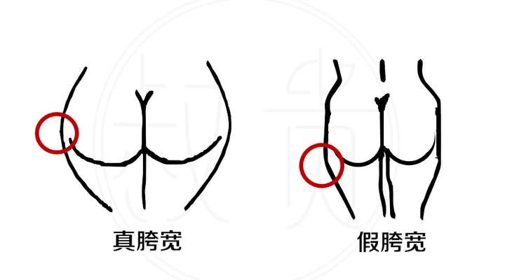 相比于右边的这个屁股来说,他们的区别就是: 一个胯的位置是在腰那里