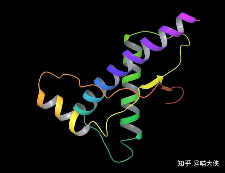 称之为 α-螺旋(helix),蛋白质的侧链r基伸出螺旋之外,r基的极性决定