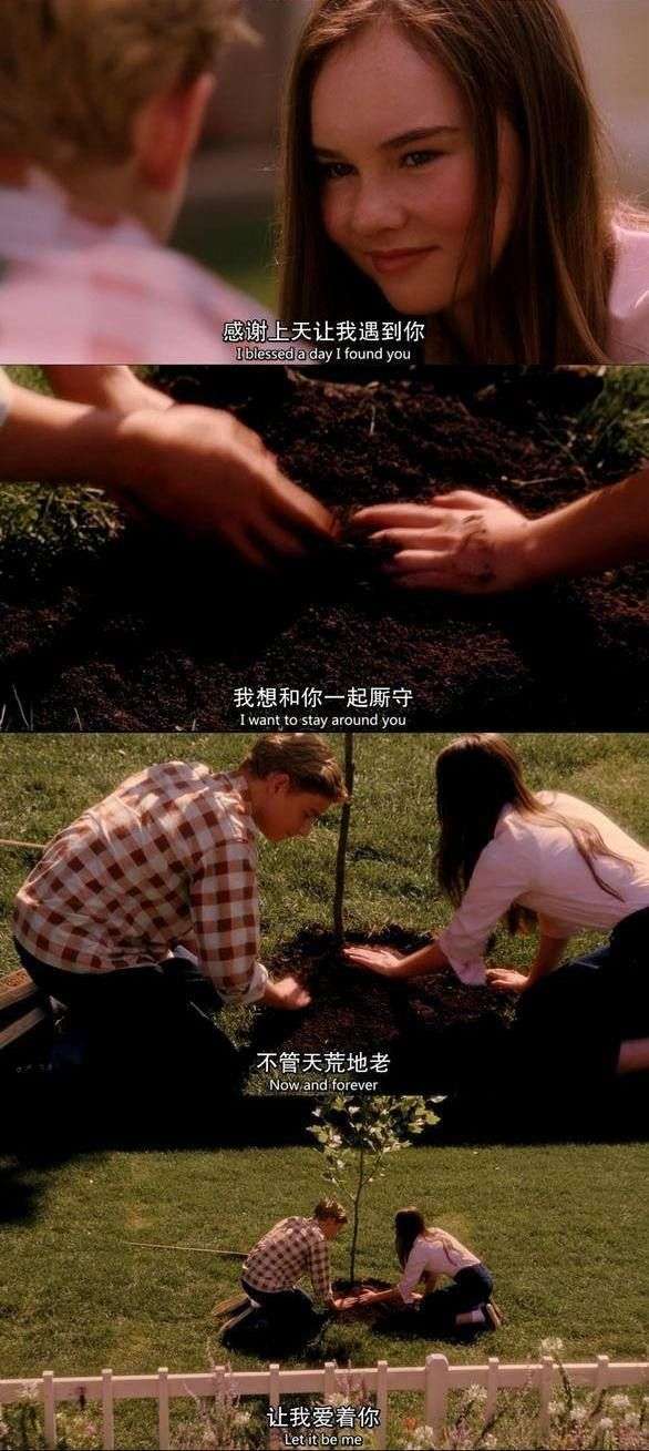 《怦然心动》 知乎