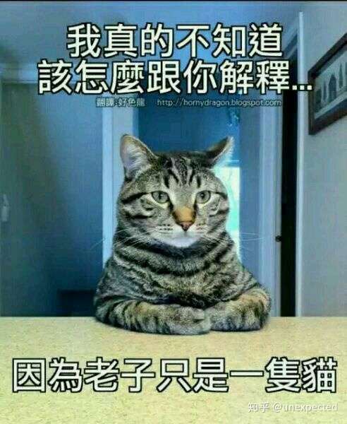 我也不说话,毕竟手机还是很好玩的.静静的看她自导自演就好