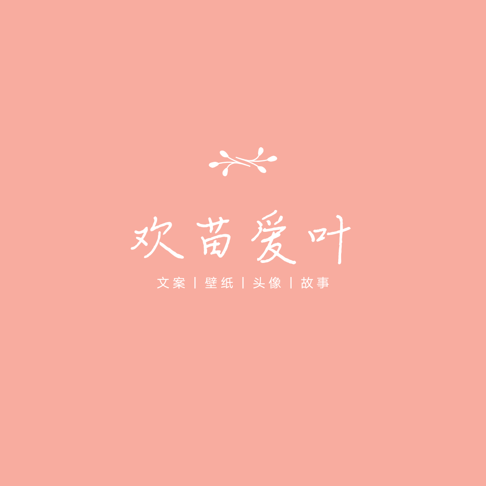 用户封面