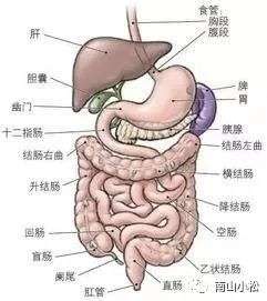 胃病找中脘穴针灸11