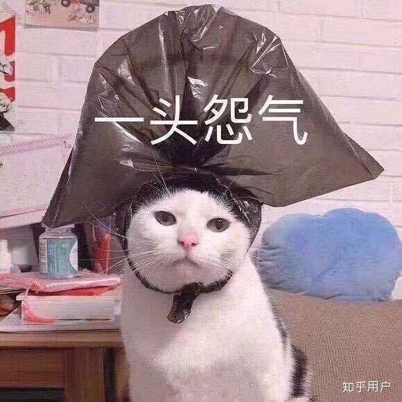 随便说说吧,我不知道是不是心机婊但让我感觉不舒服.