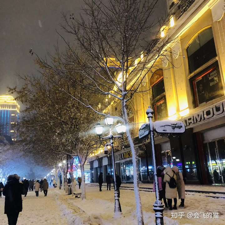 哈尔滨下雪了,能让我看看你那里的雪景照片或者视频吗