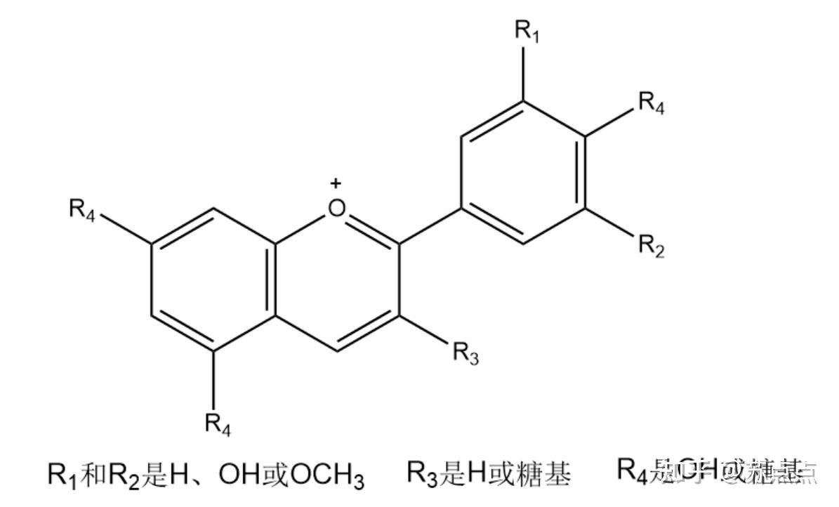 花青素分子结构