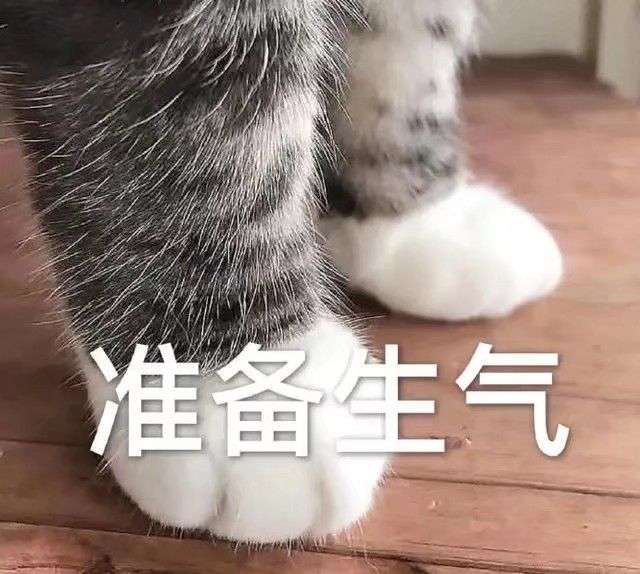 聊天时对方消失可以用什么表情包表达愤怒