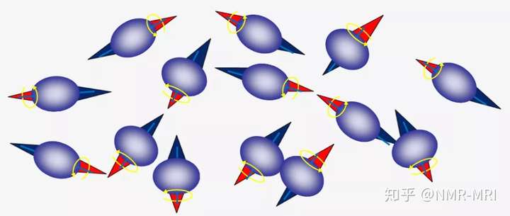 核磁共振成像基础氢质子在磁场中的磁化过程