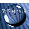  em>数字媒体技术 /em>