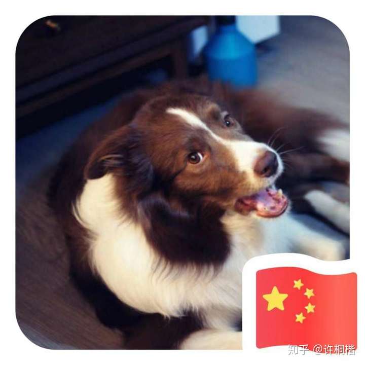 有什么适合牙医的微信头像?