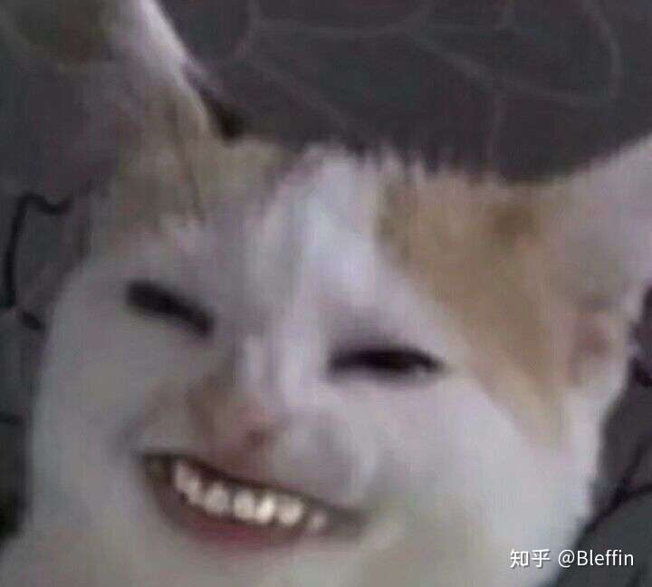 有哪些十分的沙雕头像?