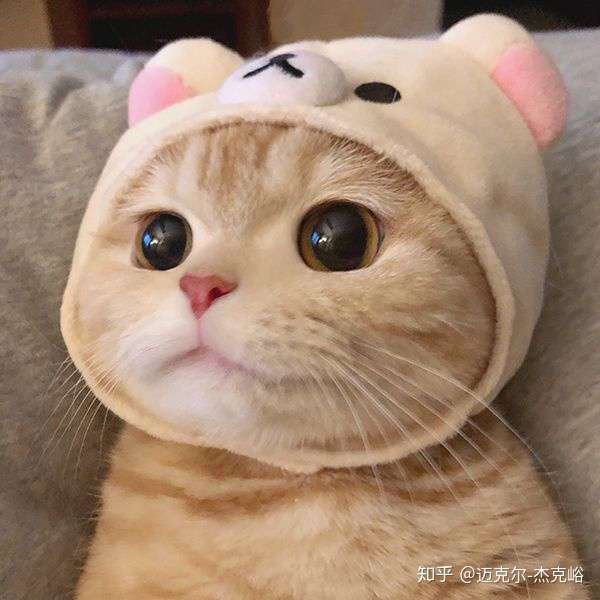 有很好看的三人闺蜜头像吗?