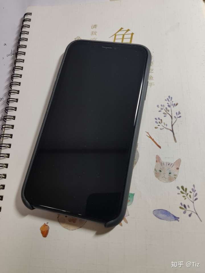 IPHONE11黑色,iphone11颜色 不请自来 9月20号入手国行iphone11黑色128g 本人是安卓苹果双持,安卓