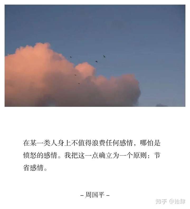 有哪些温柔到极致的句子?