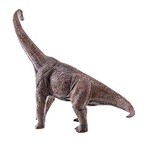 腕龙(学名:brachiosaurus)是蜥脚下目的一属恐龙,生活于晚 侏罗纪,它