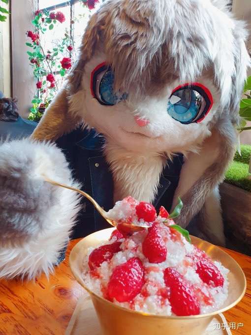 如何说服家长同意买一件17000rmb的fursuit(兽装?